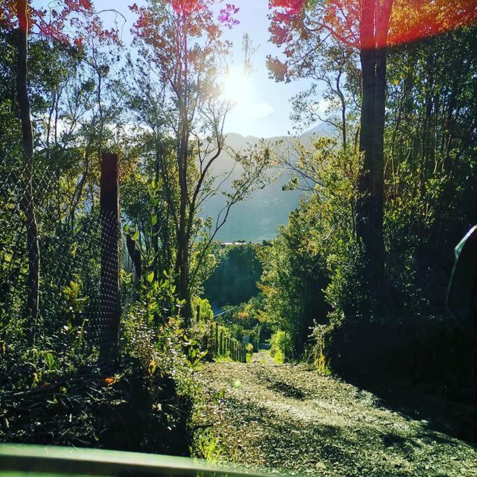 Acogedora En El Bosque, Acceso Solo Camionetas 4x4 *